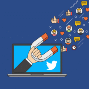 Twitter Followers [Real] 100