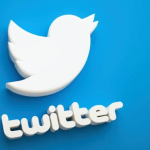 Twitter Retweets [Real] 100